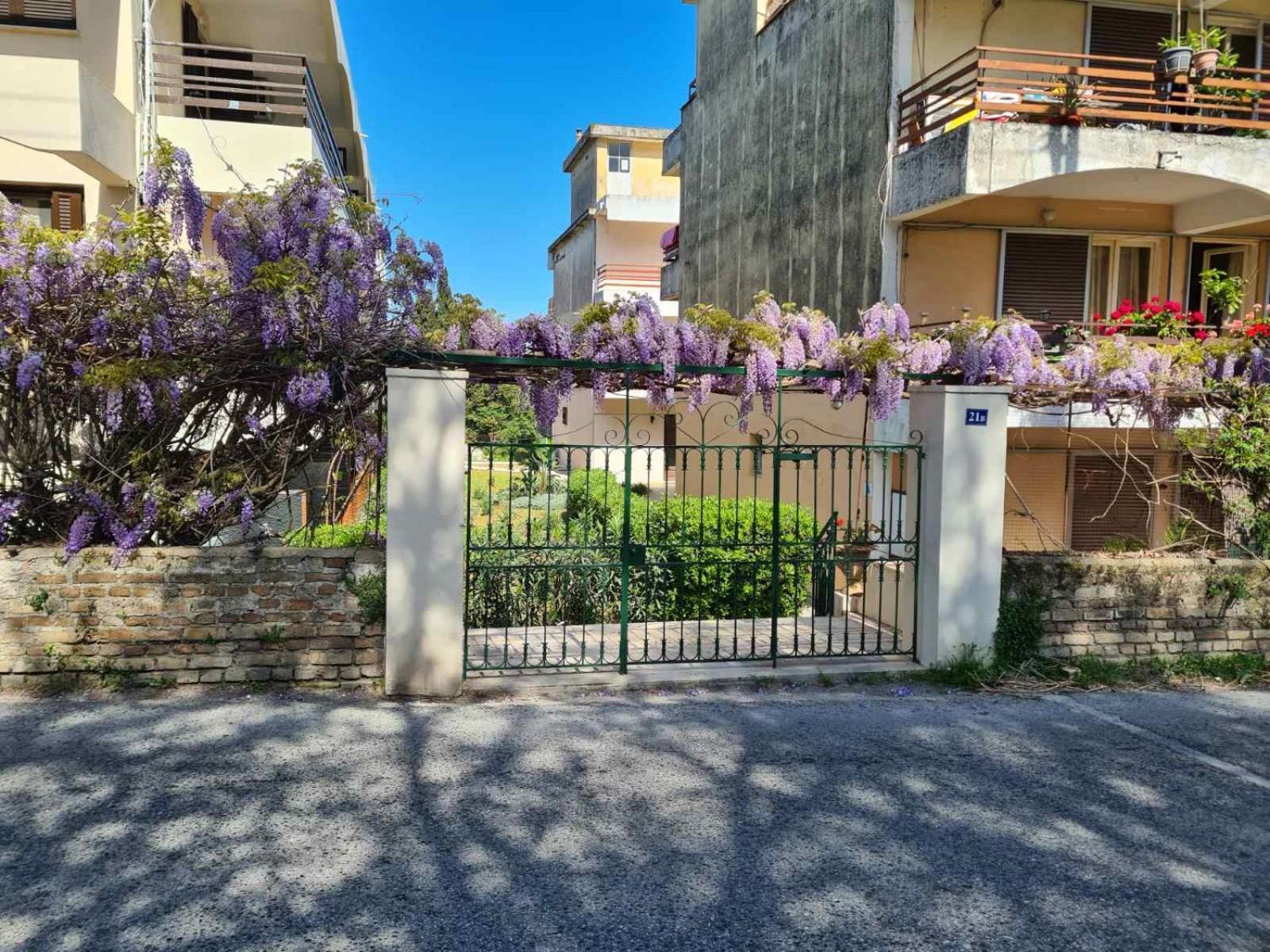 Mon Repo Palace Apartment Corfu  Kültér fotó